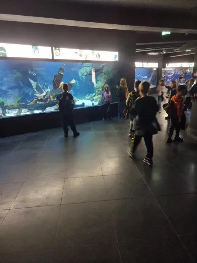 Uczniowie w Oceanarium.